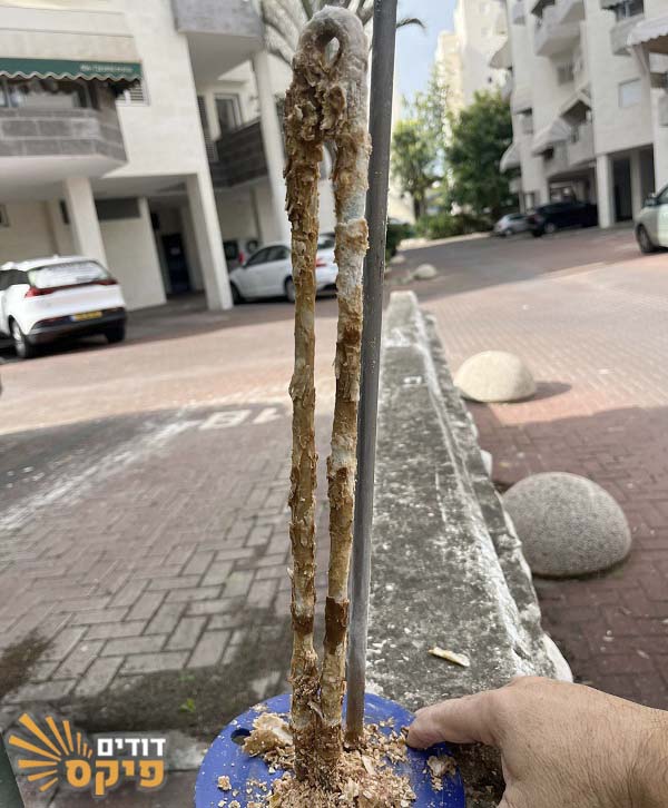 אבנית על גוף חימום של דוד