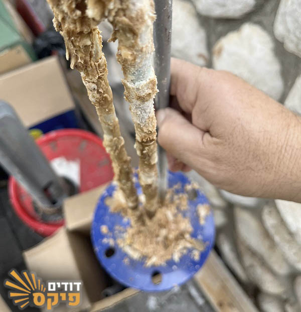 ניקוי אבנית מגוף חימום של דוד